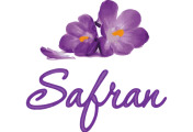 logo Safran