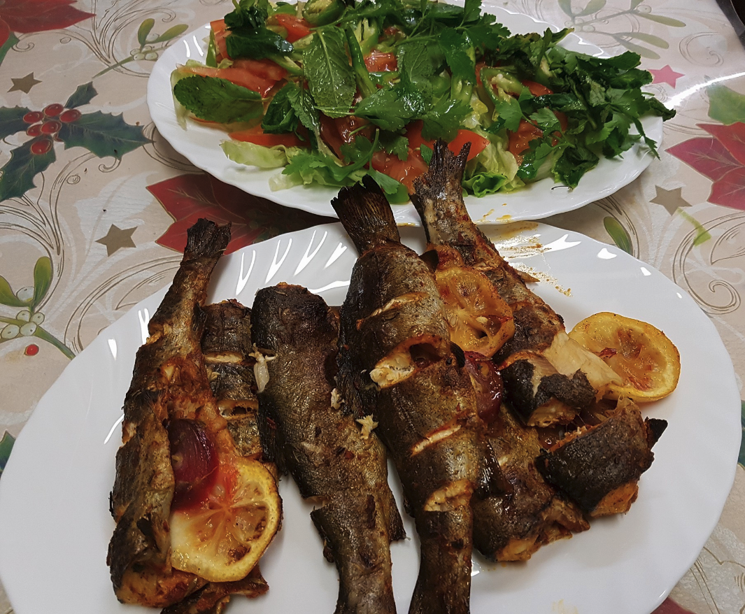 Bildschirmfoto 2023 09 21 um 14.36.53